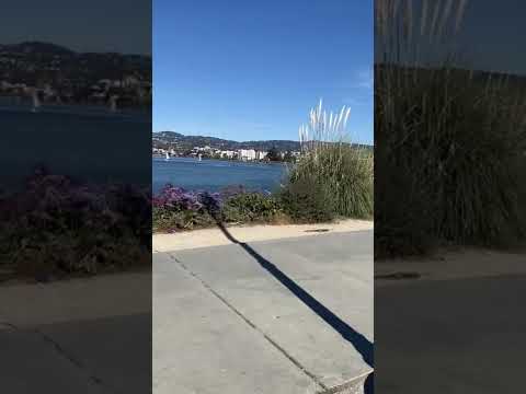 Oakland Lake Merritt