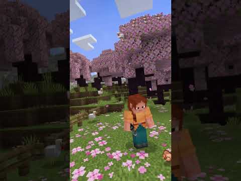 マイクラの世界に入り込んだ⁉︎