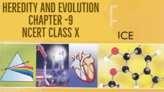 Heredity and Evolution -Chapter 9 Class 10 Science #OnlineClasses
