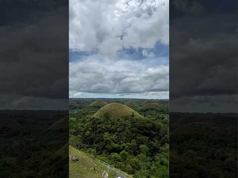 ⛰️🍫 Best Time to See Bohol’s Chocolate Hills in Full Glory! #shorts #ChocolateHills