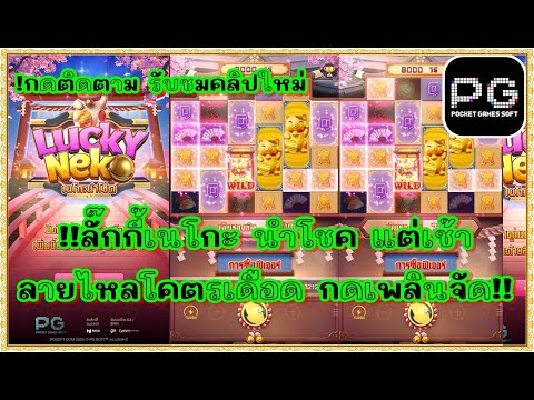 สล็อตpg สล็อตแตก ทุน1000 | แมว พีจี lucky neko pg | ลายไหลโคตรเดือด กดเพลินจัด