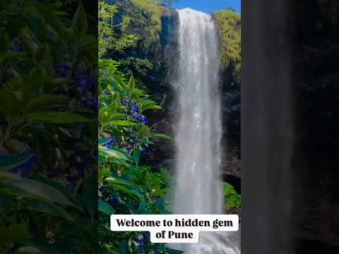 The Viral Waterfall #pune #waterfall #viralinstagram #viralvideo