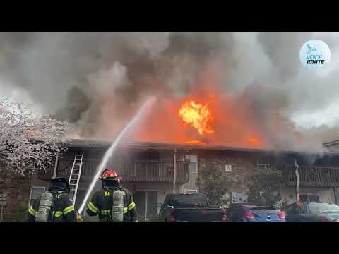 Can Your Business Survive a Disaster?