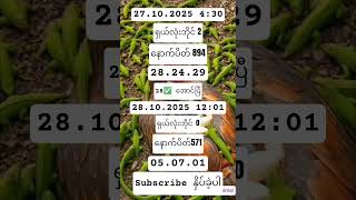 2d3d##live