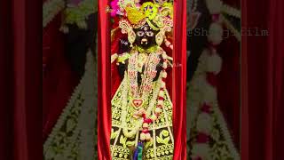 Aaj Ka live Darshan Banke Bihari Ji Ka #vrindavan #bankebihari #viral #trending #shorts #ytshorts