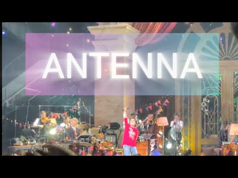 【5.ANTENNA】フル　LIVE撮影許可　Mrs.GREENAPPLE  on  "Harmony"  2024.10.15   #ミセスハーモニー