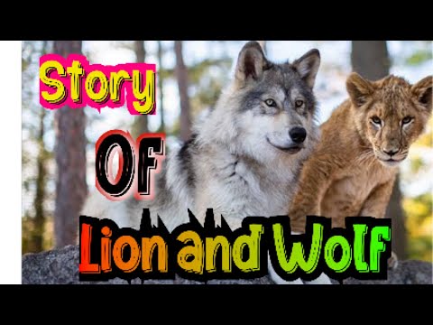 "How a Lion and a Wolf Became Best Friends: The Untold Story"