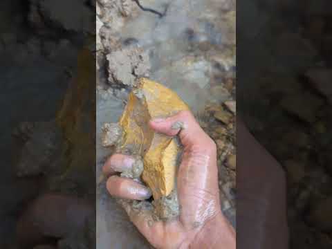 Uncle found gold in the river #goldhunter #goldsearch