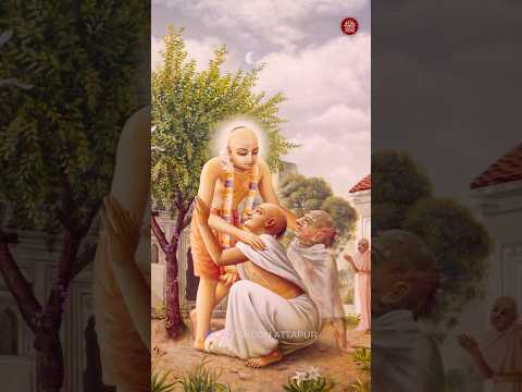 Why Sri Caitanya Mahaprabhu is known as patita-pavana !! His Grace Madhur Kanai Prabhu #iskcon