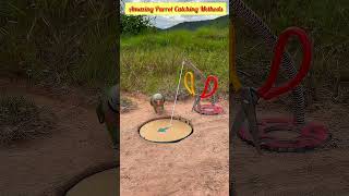 Amazing Parrot Catching Methods #wildlife #diy #survival