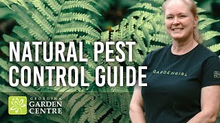 What is & How to Apply Diatomaceous Earth | Natural Pest Control