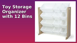 REVIEW (2026): Toy Storage Organizer with 12 Bins. ESSENTIAL details.