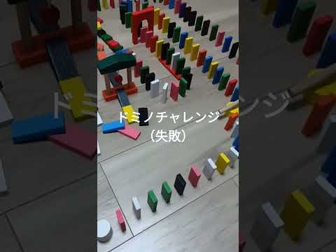 ドミノチャレンジ　（失敗）