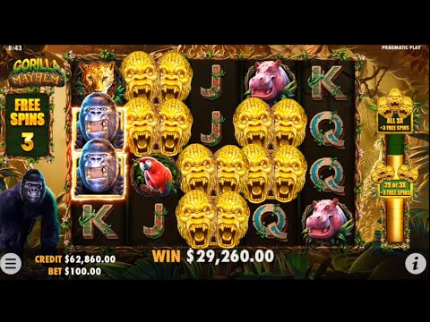 GORILLA MAYHEM!! MAX BET BONUS MEGA BIG WIN!!PRAGMATIC PLAY ✌️