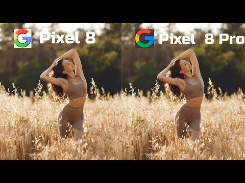 Google Pixel 8 VS Google Pixel 8 Pro Camera Test #googlepixel8 #googlepixel8pro