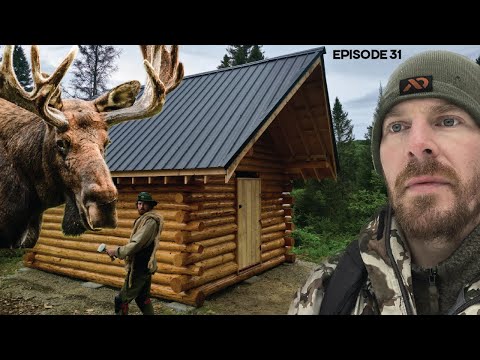Log Cabin Build on Off-Grid Homestead |EP31| MOOSE