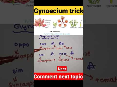 gynoecium trick neet #morphologyoffloweringplants  #biology #neet #kveducation #neet_trick