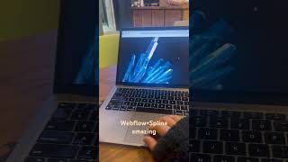 Spline integration in webflow #visualdesign #webdesign #splinetool #webflow