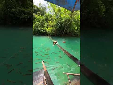Unreal Crystal Clear Water! 😱🐟 Hidden Paradise in Nature #nature #crystalclearwater #travelshorts