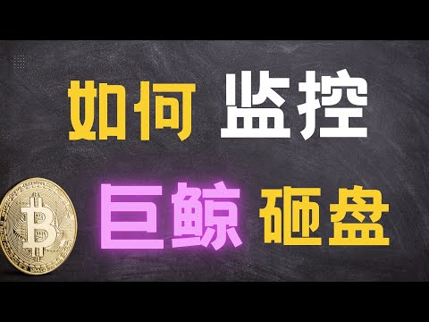 如何监控鲸鱼钱包？手把手教你追踪 Hyperliquid 砸盘巨鲸