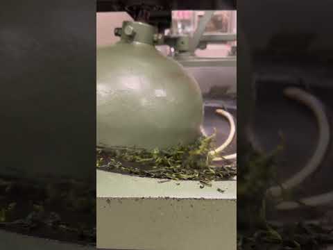 茶山繚療限定-沈浸式的包種茶體驗