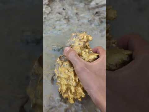 Today's luck can get gold #goldhunter