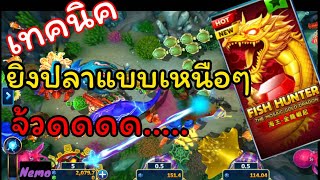 #slotxo #joker123 Fish Hunter ยิงที มีแตกยับ #nemoslot#เครดิตฟรี