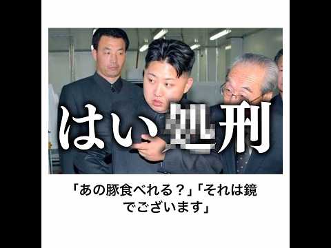 【調教】金正恩の殿堂入りボケてがマジでツッコミどころ満載だったwww 【1420弾】