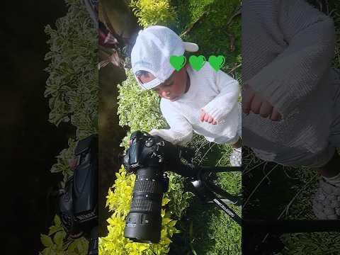 Amora Tv show