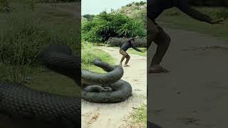 Giant Anaconda vs. T-Rex: Who Wins? PART 2 #jurassicworldtrex #nagin #jurassicparkmovie