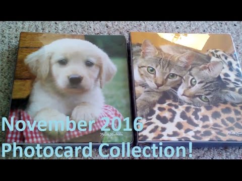 My Kpop Photocard Collection! (November 2016) + I'm Seeing B1A4!!!