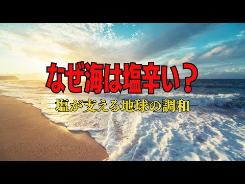 なぜ海は塩辛い？　実は地球の調和に塩が大切な役割をしている