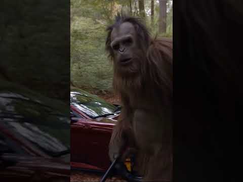 Lost keys and need replacements! Bigfoot Vlog #funnybigfoot