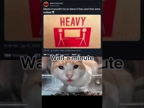 Wait a minute… #waitaminute #true credits to @EvilMrQuack for the video