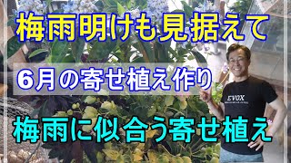 [ガーデニング] 6月の寄せ植え「年間100鉢以上の寄せ植えを作るプロガーデナーが梅雨に似合って、梅雨明けにも困らない寄せ植え作りのコツを実演・解説 」