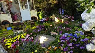 Flower show 2025 C9529