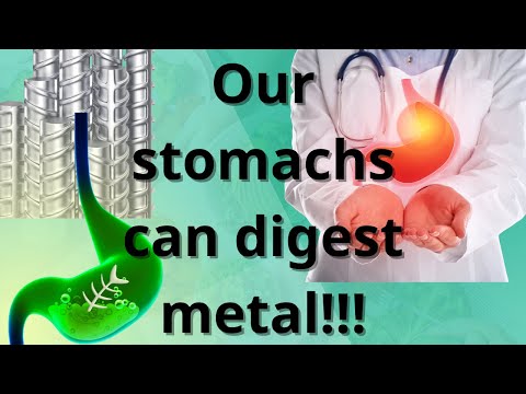 Our stomachs can digest metal!!!