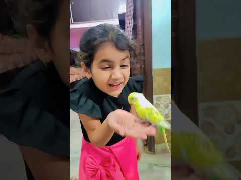 Divisha Singh Angel - Oye raju fir se 😃😃(HD) #bhatiyani #viralshort #video #swarooparao #viralvideo