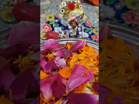 Mera Keshav 😊 #laddugopal #laddugopalji #shortsfeed #ytshorts #shorts #shortsviral