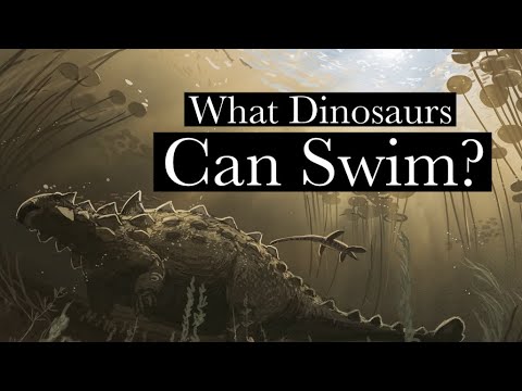 How All Dinosaurs Can Swim (maybe)