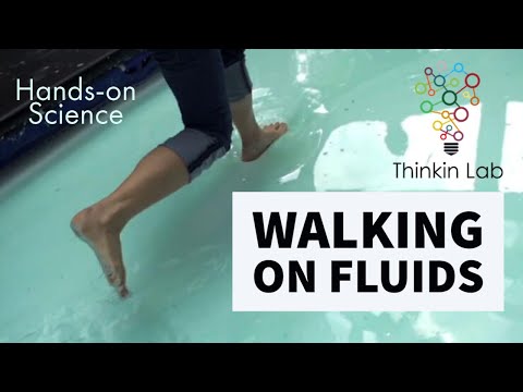 Walking on a fluid | Hands-on Science | Thinkin Lab