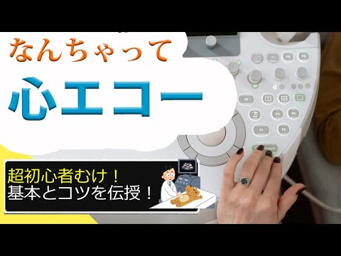 Point Of Care Ultra Sound：POCUS　Ver.Heart