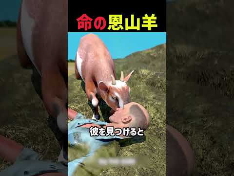 命の恩山羊