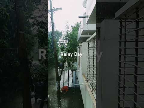 Rainy day with Relaxation sound #relaxingmusic #relax #rain #piano #relaxingsounds #shorts