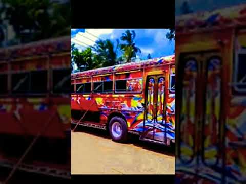 අපා බෝයි vs දුඹුරු ළමිස්සි
