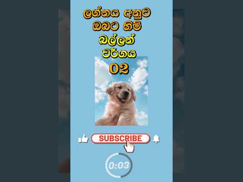 ලග්නය අනුව ඔබට හිමි බල්ලන් වර්ගය Part 2  #shorts   #lagna #dog #horoscope #1million
