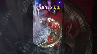 ,#तुलसी_विवाह #तुलसी_पूजा #तुलसीमाता #तुलसीहमारीबड़ीसयानीnewshow