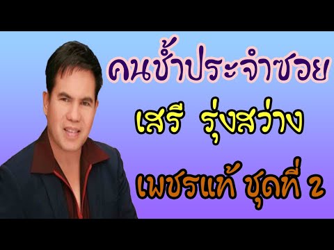 คนช้ำประจำซอย - เสรี  รุ่งสว่าง 【 AUDIO】