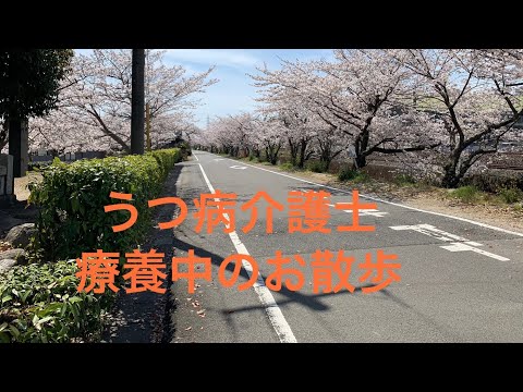 【主婦の日常】うつ病介護士お散歩