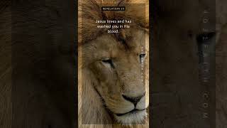 Revelation 1:5